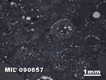 Thin Section Photo of Sample MIL 090657 in Reflected Light with 1.25X Magnification