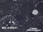 Thin Section Photo of Sample MIL 090657 in Reflected Light with 2.5X Magnification