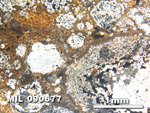 Thin Section Photo of Sample MIL 090677 in Plane-Polarized Light with 2.5X Magnification