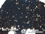 Thin Section Photo of Sample MIL 090686 in Plane-Polarized Light with 2.5X Magnification