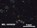 Thin Section Photo of Sample MIL 090696 in Cross-Polarized Light with 2.5X Magnification