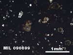 Thin Section Photo of Sample MIL 090699 in Plane-Polarized Light with 2.5X Magnification