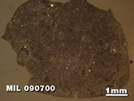 Thin Section Photo of Sample MIL 090700 in Reflected Light with 1.25X Magnification