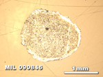 Thin Section Photo of Sample MIL 090846 in Reflected Light with 2.5X Magnification