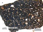 Thin Section Photo of Sample MIL 090890 in Plane-Polarized Light with 1.25X Magnification