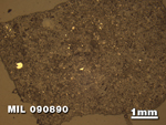 Thin Section Photo of Sample MIL 090890 in Reflected Light with 1.25X Magnification
