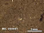 Thin Section Photo of Sample MIL 090891 in Reflected Light with 2.5X Magnification