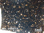 Thin Section Photo of Sample MIL 090915 in Plane-Polarized Light with 1.25X Magnification