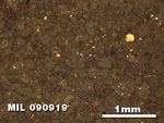 Thin Section Photo of Sample MIL 090919 in Reflected Light with 2.5X Magnification