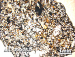 Thin Section Photo of Sample MIL 090963 in Plane-Polarized Light with 1.25X Magnification