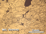 Thin Section Photo of Sample MIL 090980 in Reflected Light with 2.5X Magnification