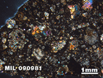 Thin Section Photo of Sample MIL 090981 in Cross-Polarized Light with 1.25X Magnification