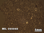 Thin Section Photo of Sample MIL 090988 in Reflected Light with 1.25X Magnification