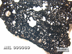Thin Section Photo of Sample MIL 090989 in Plane-Polarized Light with 1.25X Magnification