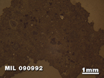Thin Section Photo of Sample MIL 090992 in Reflected Light with 1.25X Magnification