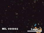 Thin Section Photo of Sample MIL 090992 in Cross-Polarized Light with 2.5X Magnification