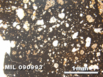 Thin Section Photo of Sample MIL 090993 in Plane-Polarized Light with 2.5X Magnification