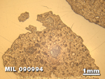 Thin Section Photo of Sample MIL 090994 in Reflected Light with 1.25X Magnification