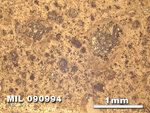 Thin Section Photo of Sample MIL 090994 in Reflected Light with 2.5X Magnification