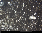 Thin Section Photo of Sample MIL 090995 in Plane-Polarized Light with 2.5x Magnification