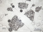 Thin Section Photo of Sample MIL 11019 in Reflected Light with 1.25x Magnification