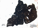 Thin Section Photo of Sample MIL 11033 in Plane-Polarized Light with 1.25x Magnification