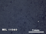 Thin Section Photo of Sample MIL 11040 in Reflected Light with 2.5X Magnification