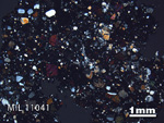 Thin Section Photo of Sample MIL 11041 in Cross-Polarized Light with 1.25X Magnification