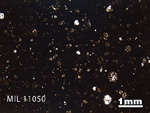 Thin Section Photo of Sample MIL 11050 in Plane-Polarized Light with 1.25x Magnification