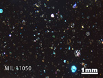 Thin Section Photo of Sample MIL 11050 in Cross-Polarized Light with 1.25x Magnification
