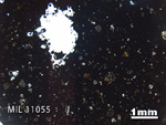 Thin Section Photo of Sample MIL 11055 in Plane-Polarized Light with 1.25x Magnification