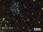 Thin Section Photo of Sample MIL 11055 in Cross-Polarized Light with 1.25x Magnification
