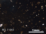 Thin Section Photo of Sample MIL 11063 in Plane-Polarized Light with 2.5x Magnification