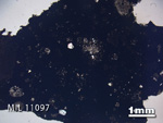 Thin Section Photo of Sample MIL 11097 in Plane-Polarized Light with 1.25X Magnification
