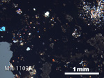 Thin Section Photo of Sample MIL 11097 in Cross-Polarized Light with 2.5X Magnification