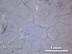 Thin Section Photo of Sample MIL 11099 in Reflected Light with 2.5X Magnification