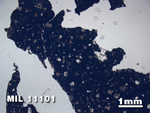 Thin Section Photo of Sample MIL 11101 in Plane-Polarized Light with 1.25X Magnification