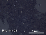 Thin Section Photo of Sample MIL 11101 in Reflected Light with 2.5X Magnification