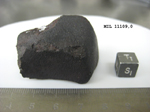 Lab Photo of Sample MIL 11109 Showing South View
