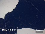 Thin Section Photo of Sample MIL 11111 in Plane-Polarized Light with 1.25X Magnification