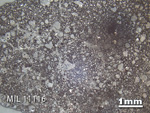 Thin Section Photo of Sample MIL 11116 in Reflected Light with 1.25x Magnification