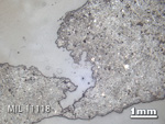 Thin Section Photo of Sample MIL 11118 in Reflected Light with 1.25x Magnification