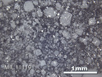 Thin Section Photo of Sample MIL 11119 in Reflected Light with 2.5x Magnification