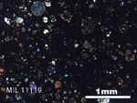 Thin Section Photo of Sample MIL 11119 in Cross-Polarized Light with 2.5x Magnification