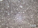 Thin Section Photo of Sample MIL 11120 in Reflected Light with 1.25x Magnification