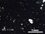 Thin Section Photo of Sample MIL 11140 in Plane-Polarized Light with 2.5x Magnification