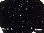 Thin Section Photo of Sample MIL 11147 in Plane-Polarized Light with 1.25x Magnification