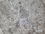 Thin Section Photo of Sample MIL 11147 in Reflected Light with 1.25x Magnification
