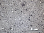 Thin Section Photo of Sample MIL 11150 in Reflected Light with 2.5x Magnification