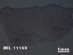 Thin Section Photo of Sample MIL 11198 in Reflected Light with 1.25X Magnification